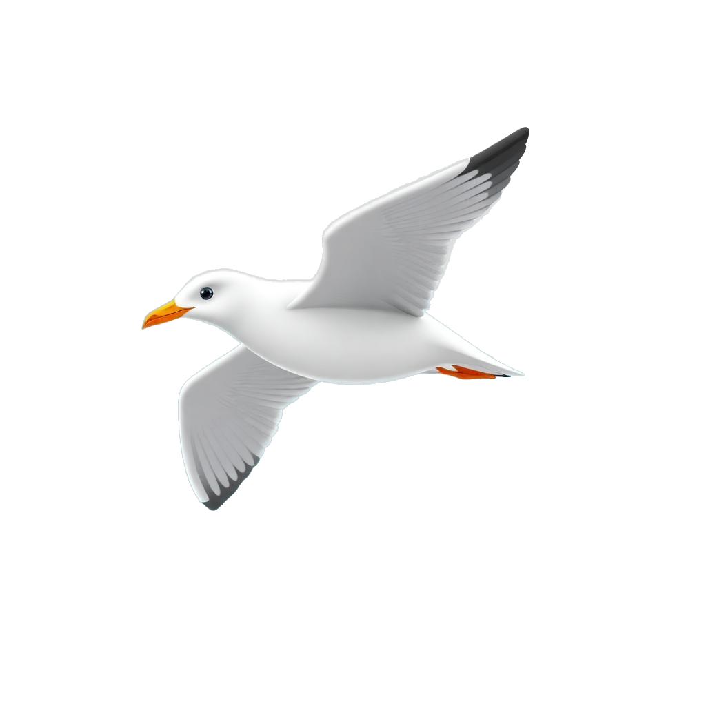 seagull flying over ocean
