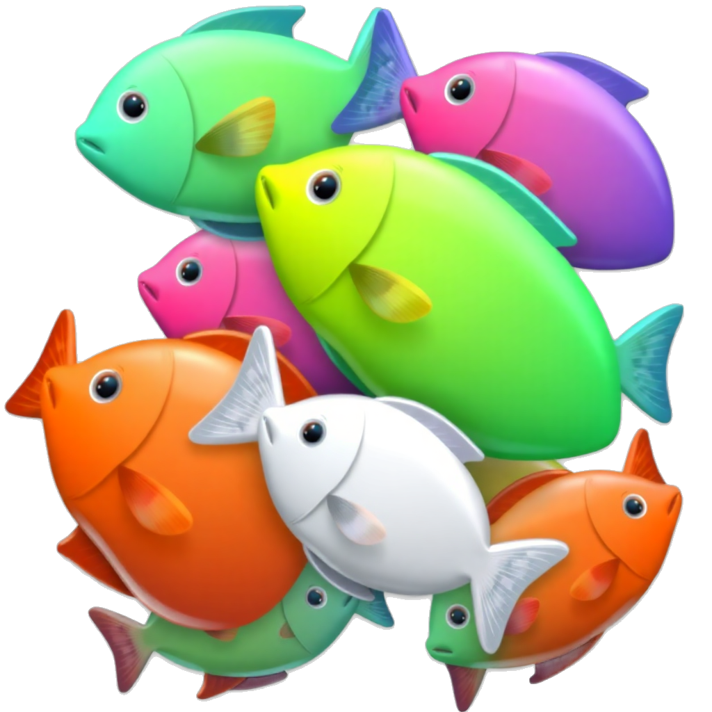 school of colorful fish